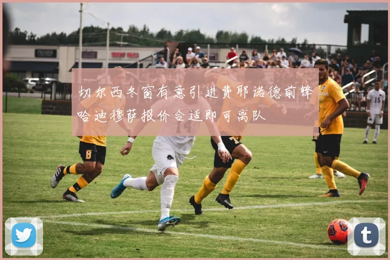 切尔西冬窗有意引进费耶诺德前锋哈迪穆萨报价合适即可离队