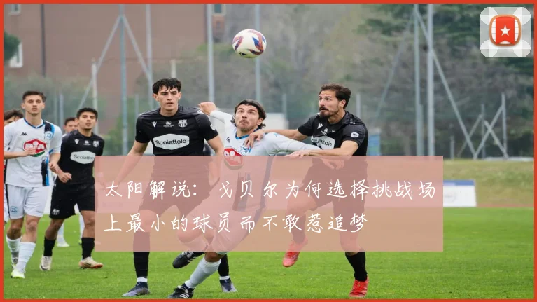 太阳解说：戈贝尔为何选择挑战场上最小的球员而不敢惹追梦