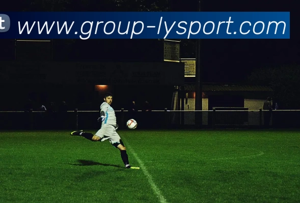 乐鱼体育发展历程